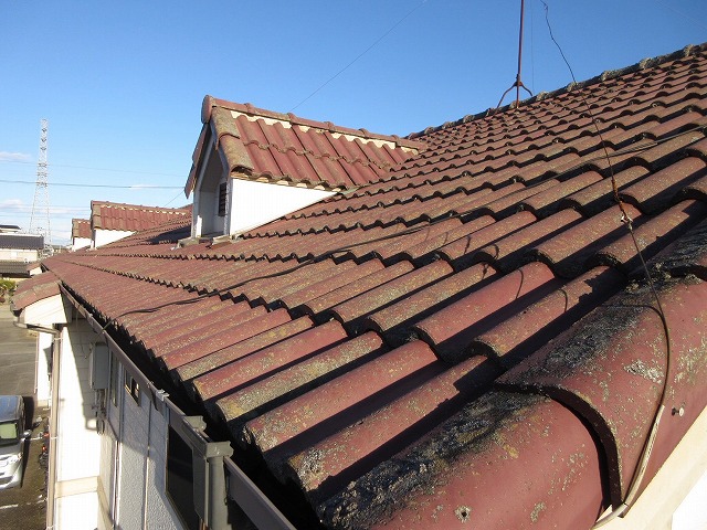 苔や藻がついた屋根の写真